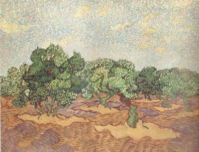 Vincent Van Gogh Olive Grove:Pale Blue Sky (nn04) china oil painting image